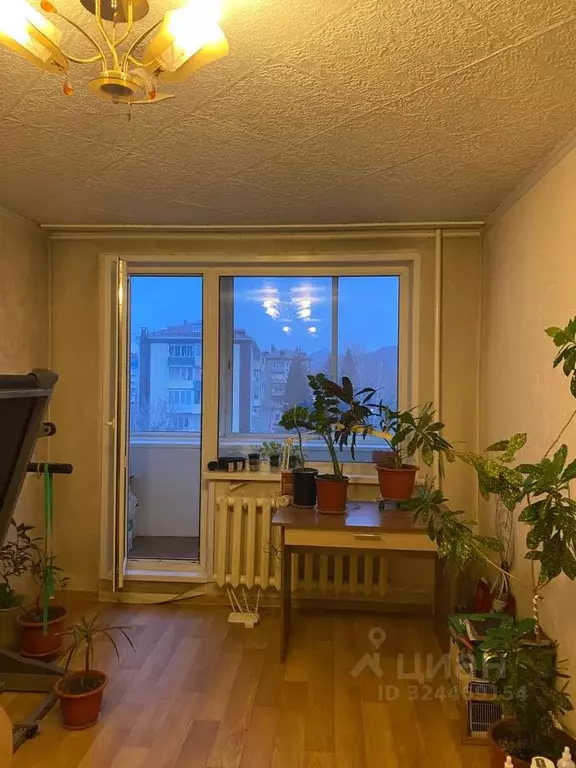 1-к кв. Алтай, Горно-Алтайск Коммунистический просп., 86 (30.0 м) - Фото 2