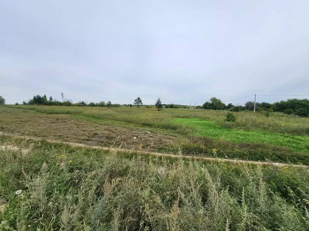 Участок в Амурская область, Благовещенский район, пос. Вадимово  ... - Фото 2
