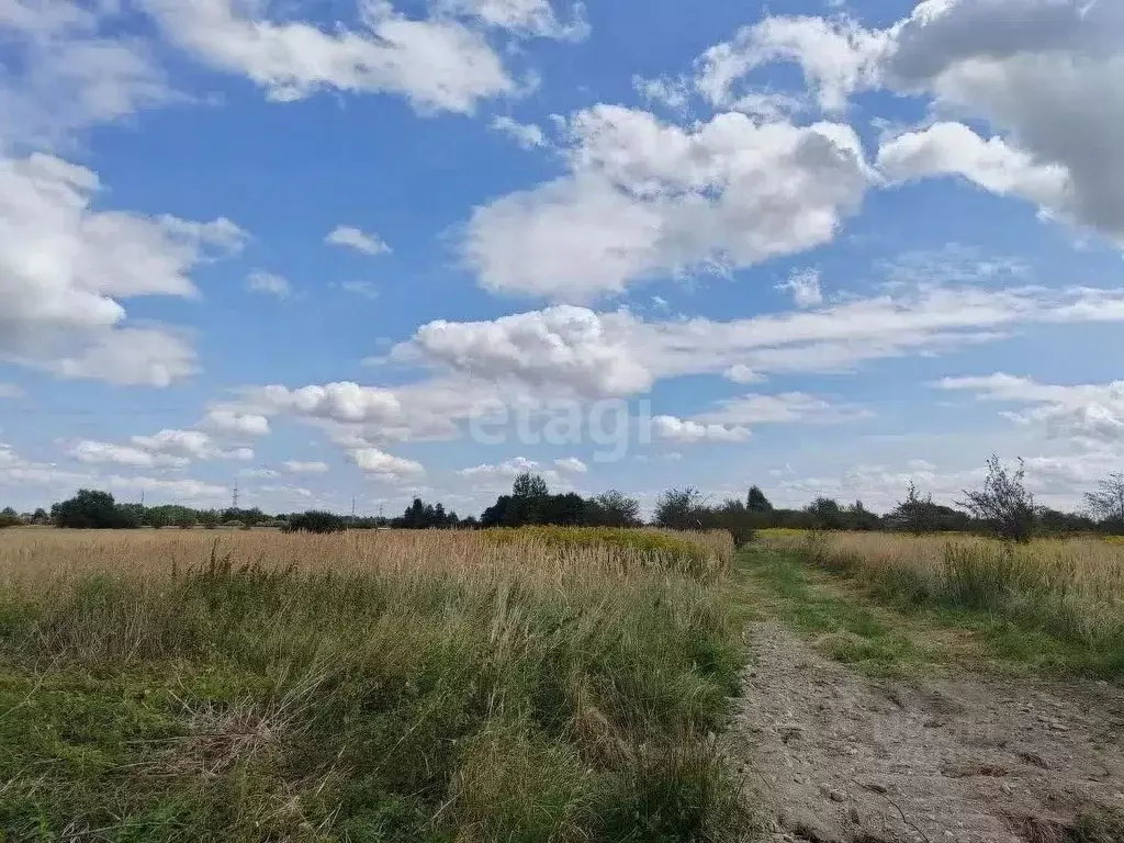 Участок в Калининградская область, Гурьевский муниципальный округ, ... - Фото 1