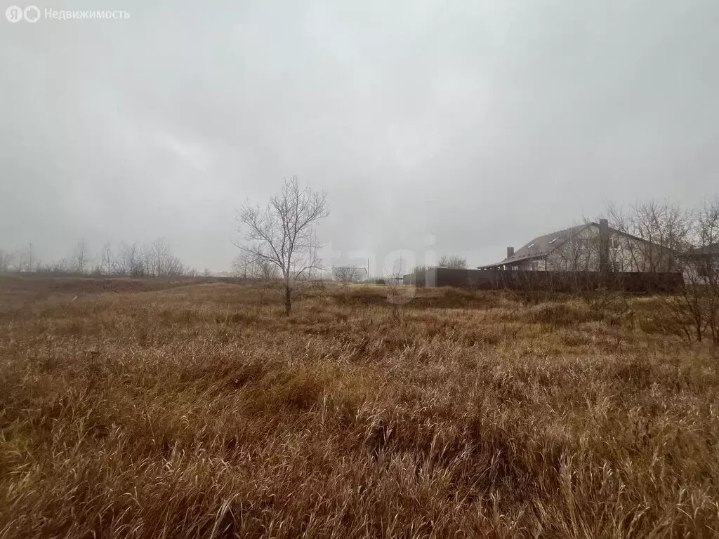 Участок в Борисоглебск, Лазоревая улица (9 м) - Фото 1