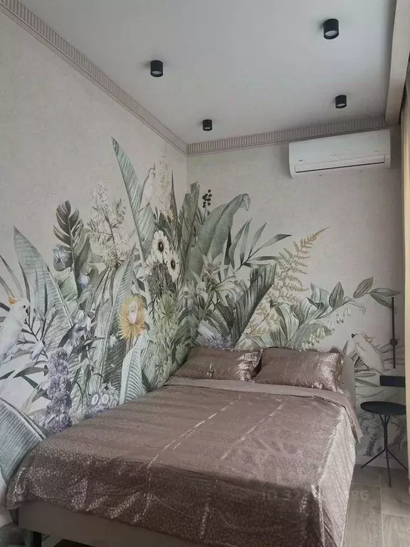 Студия Краснодарский край, Сочи ул. Ленина, 219/21А (24.0 м) - Фото 1