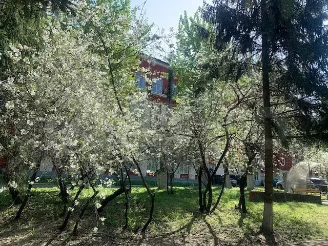 Офис, 53.4 м - Фото 1