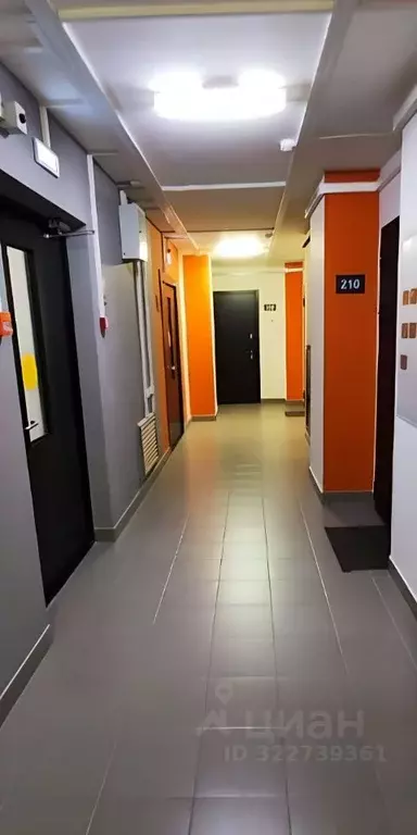 1-к кв. Ленинградская область, Мурино Всеволожский район, ул. Шоссе в ... - Фото 1