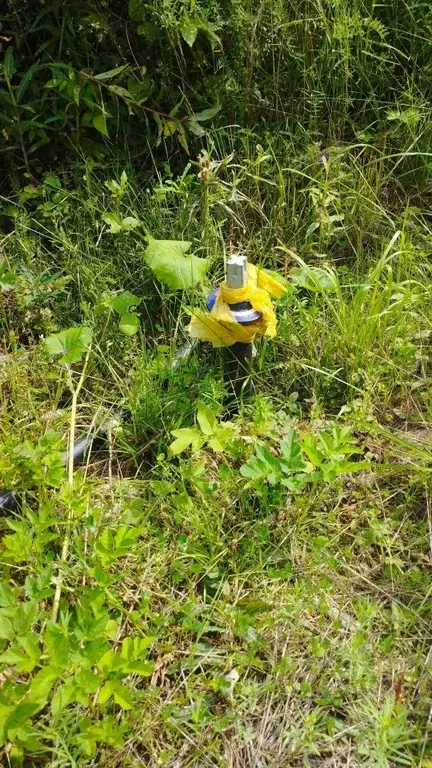 Участок в Ленинградская область, Всеволожский район, Агалатовское ... - Фото 1