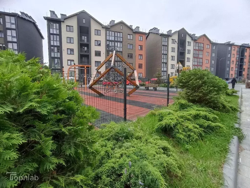 1-к кв. Калининградская область, Пионерский Октябрьская ул., 2Ак1 ... - Фото 1