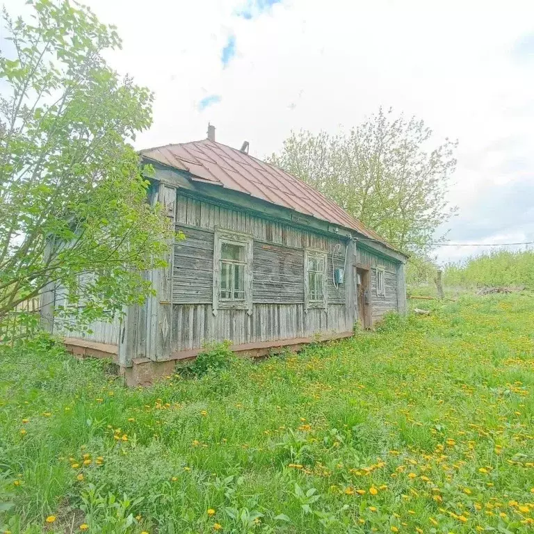 Участок в Брянская область, Карачевское городское поселение, Деревня ... - Фото 1