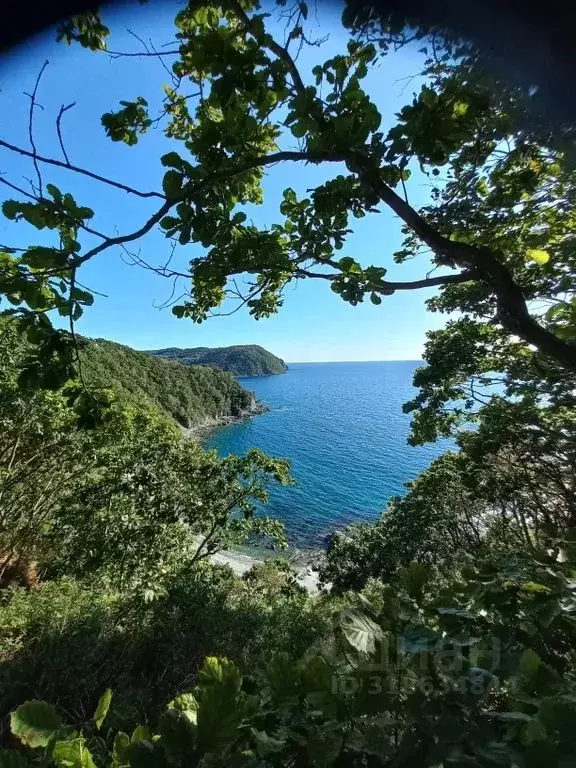 1-к кв. Приморский край, Находка ул. Добролюбова, 1 (32.0 м) - Фото 1