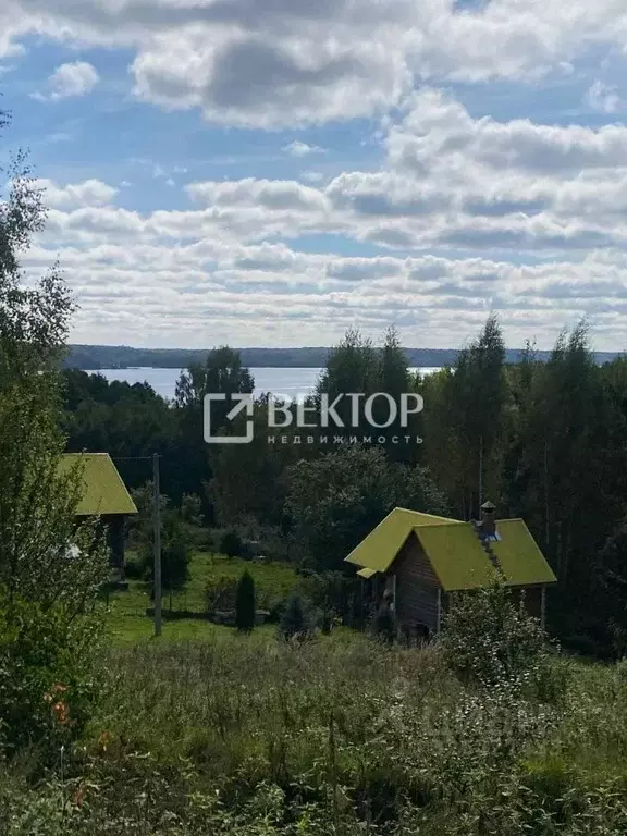 Участок в Ивановская область, Заволжский район, Волжское с/пос, д. ... - Фото 2