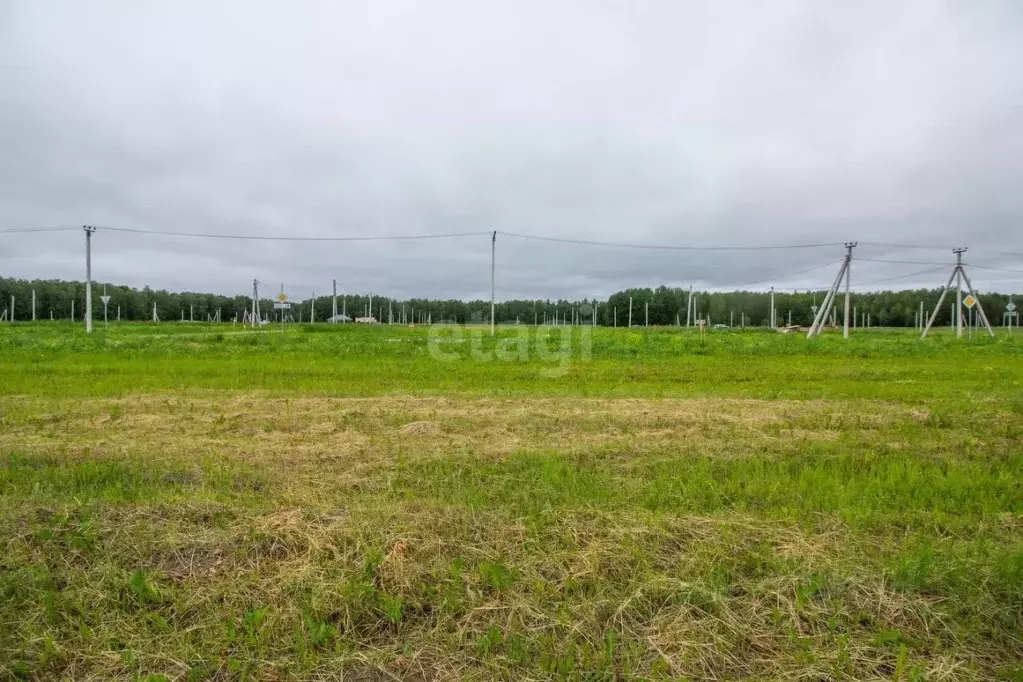 Участок в Тюменская область, Тюменский район, с. Кулига  (7.3 сот.) - Фото 0