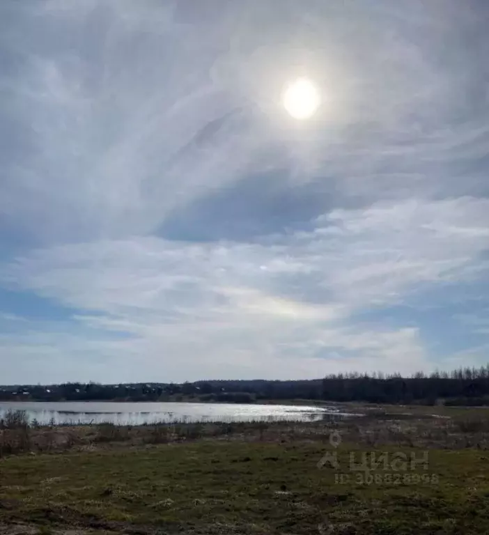 Участок в Владимирская область, Александровский район, ... - Фото 1