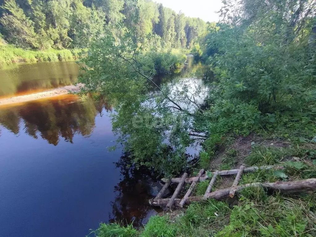 Участок в Вологодская область, д. Фроловское  (10.0 сот.) - Фото 0