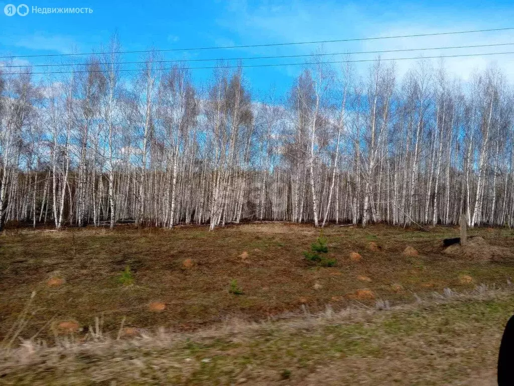 Участок в Нижегородская область, Дальнеконстантиновский муниципальный ... - Фото 1