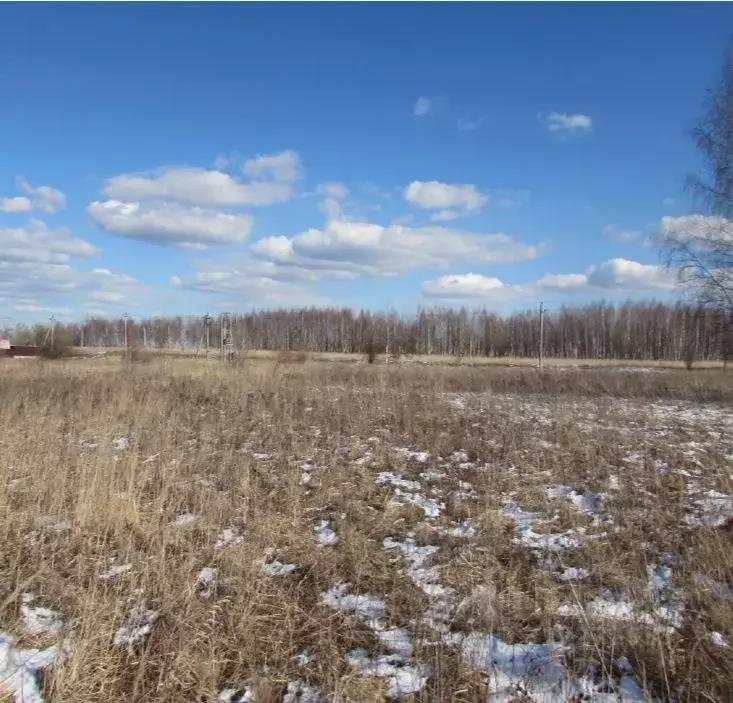 Участок в Московская область, Коломна городской округ, с. Никульское  ... - Фото 0