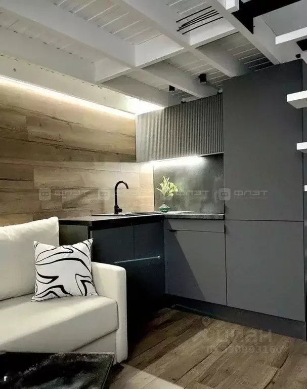Студия Татарстан, Казань ул. Вишневского, 57А (30.0 м) - Фото 2