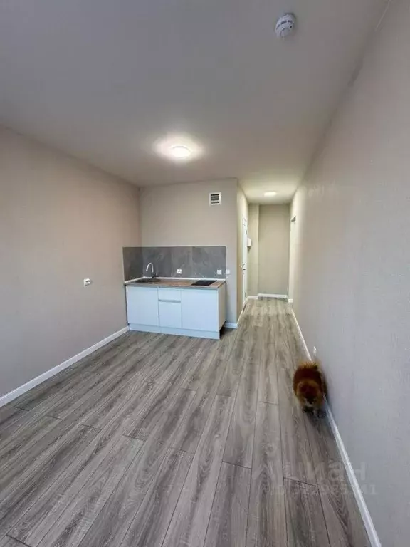 Студия Пермский край, Пермь Целинная ул., 59к1 (22.0 м) - Фото 2