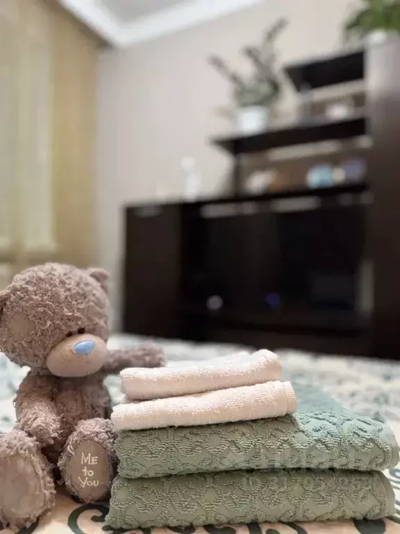 Студия Татарстан, Казань Отрадная ул., 44 (26.0 м) - Фото 2