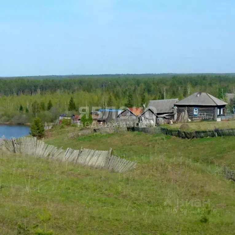 Участок в Пермский край, Березники муниципальный округ, д. Белая Пашня ... - Фото 1