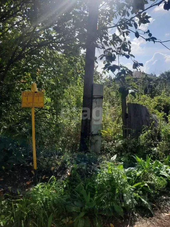 Участок в Алтайский край, Алтайский район, с. Алтайское ул. Ключевая ... - Фото 1