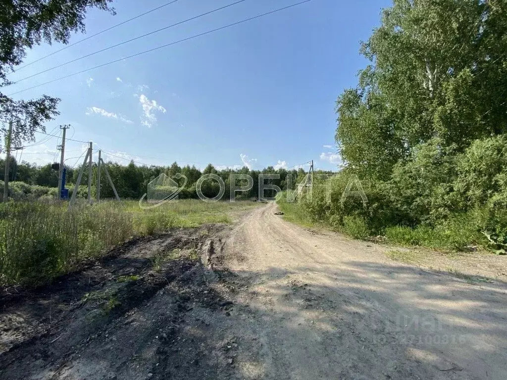 Участок в Тюменская область, Нижнетавдинский муниципальный округ, ... - Фото 1