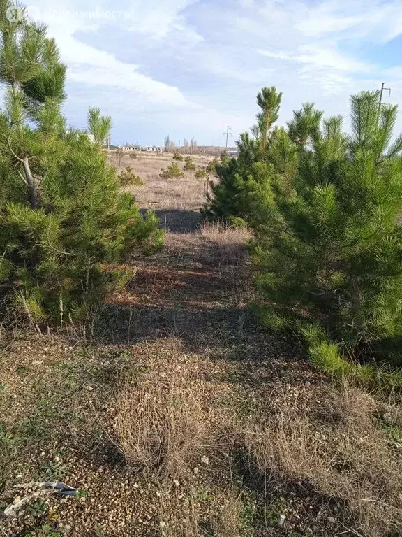 Участок в Старый Крым, улица Чапаева (6 м) - Фото 1