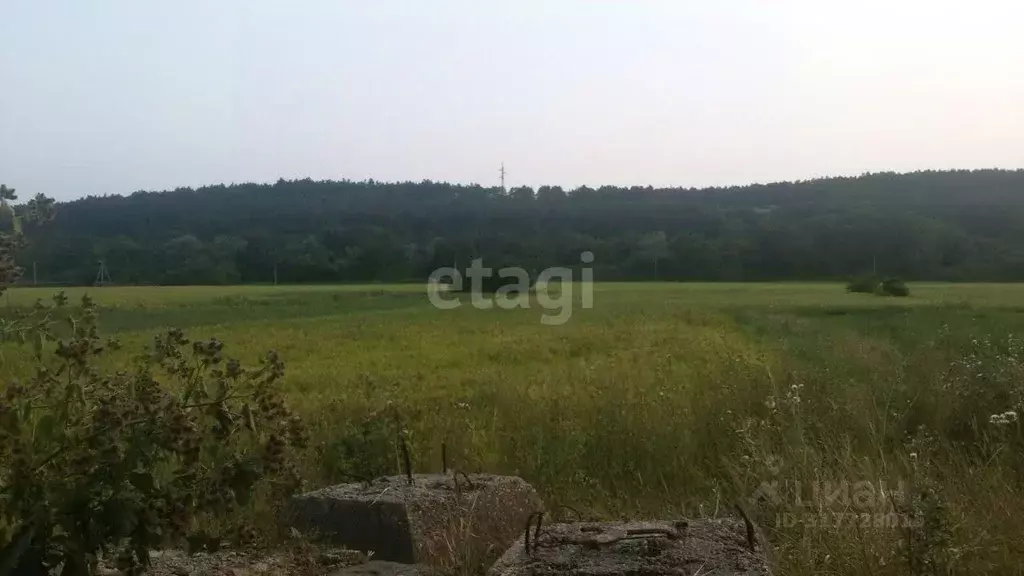 Участок в Крым, Симферопольский район, с. Донское ул. 60 лет СССР, 69 ... - Фото 0