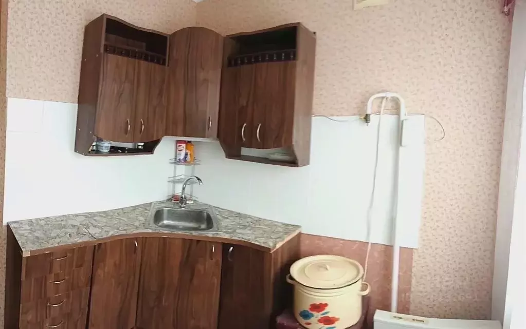 1-к кв. Алтайский край, Барнаул ул. Юрина, 263 (30.0 м) - Фото 2