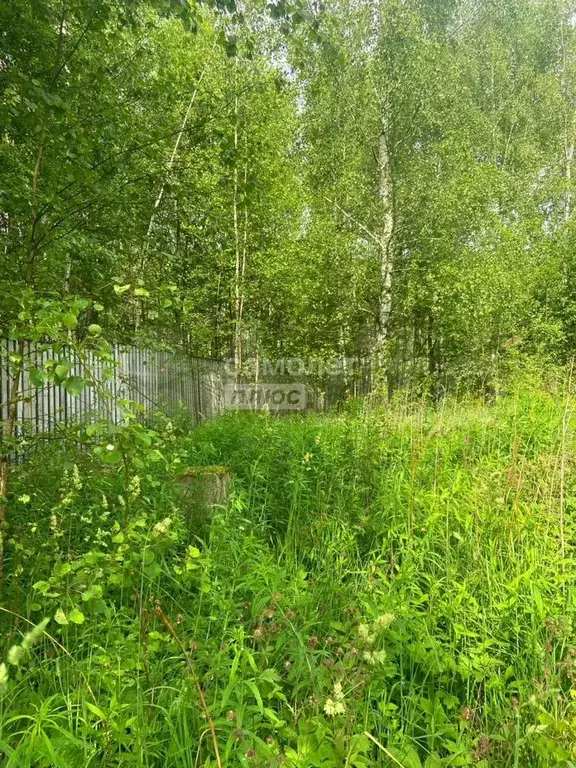 Участок 15 сот. (СНТ, ДНП) - Фото 1