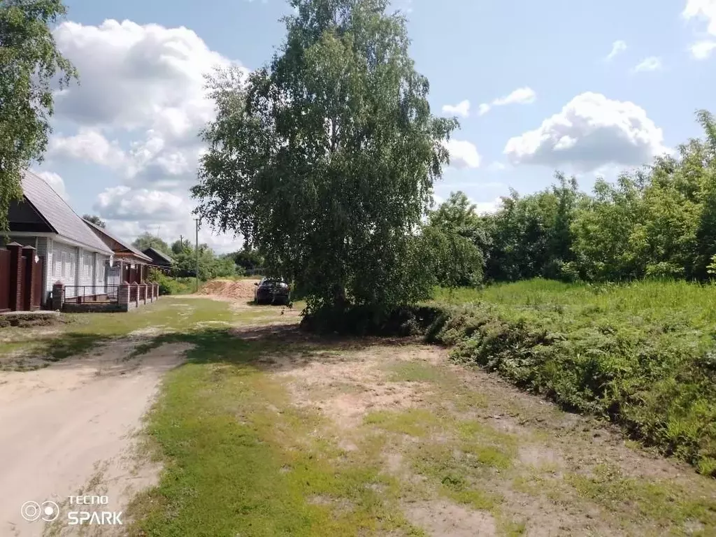 Участок в Нижегородская область, Навашинский городской округ, с. ... - Фото 1