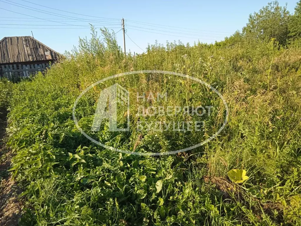 Участок в Пермский край, Чернушинский городской округ, с. Брод ул. ... - Фото 0