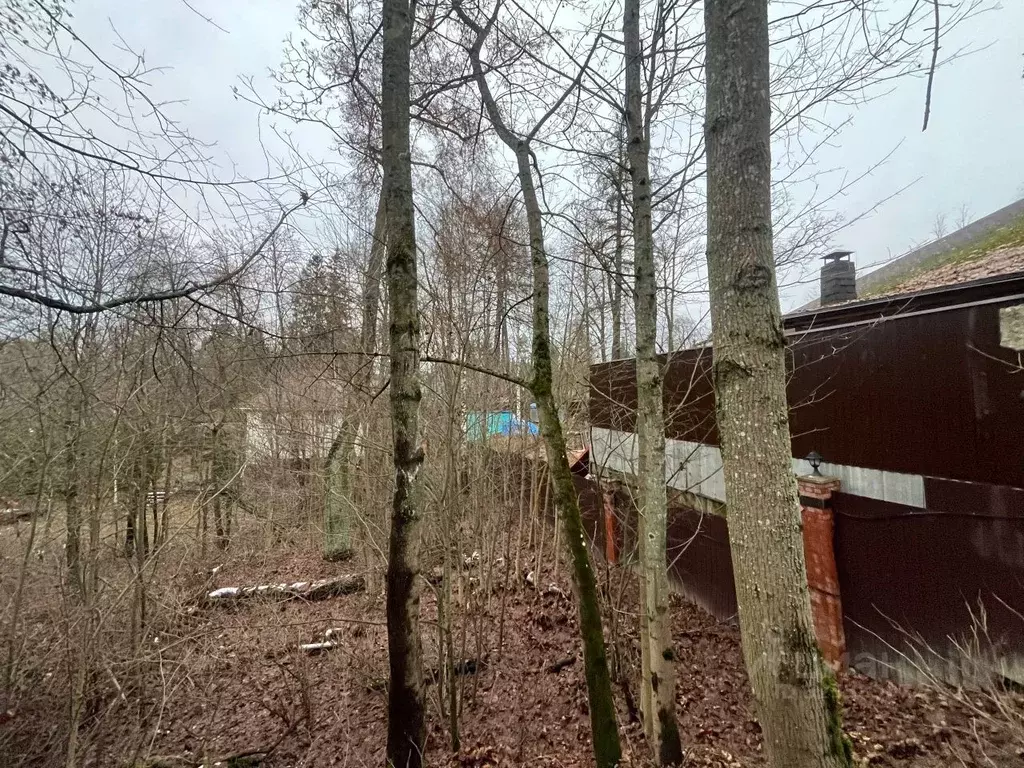 Участок в Ленинградская область, Всеволожский район, Юкковское с/пос, ... - Фото 1