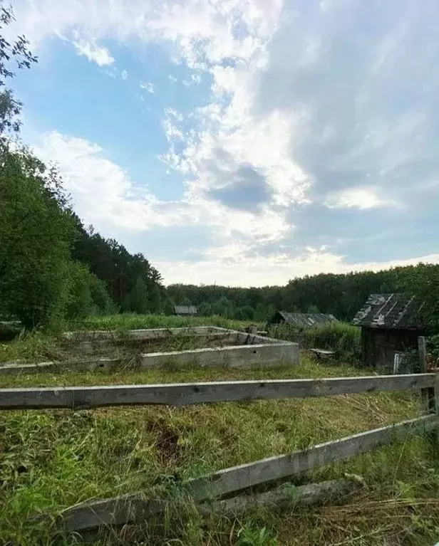 Участок в Новосибирская область, Мошковский район, с. Дубровино ... - Фото 1
