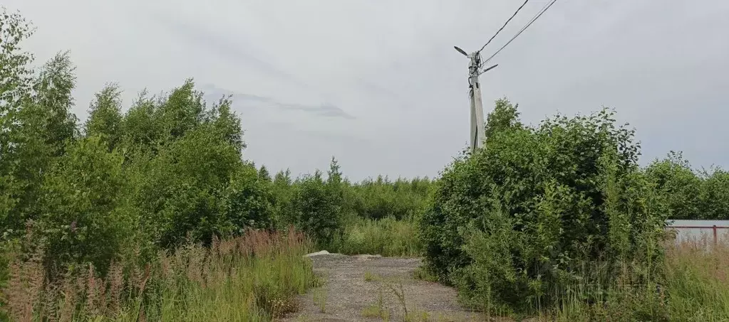 Участок в Московская область, Раменский муниципальный округ, Фенино ... - Фото 1