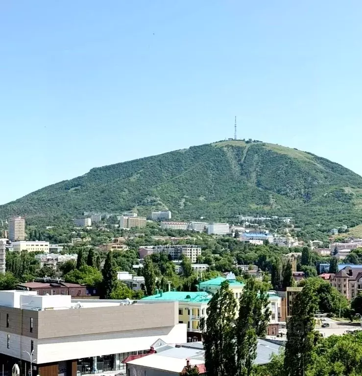 3-к кв. Ставропольский край, Пятигорск ул. Власова, 31 (96.0 м) - Фото 2