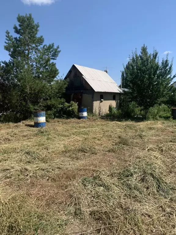 Участок в Оренбургская область, Оренбургский район, Нежинский ... - Фото 1