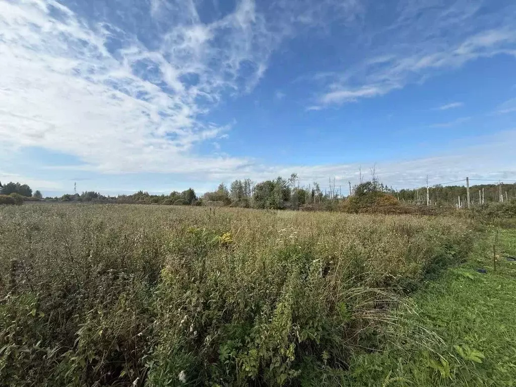 Участок в Ленинградская область, Волховский район, Вындиноостровское ... - Фото 2