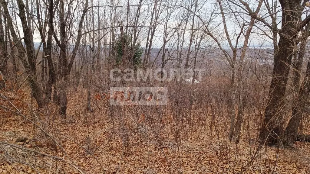 Участок в Приморский край, Артем ул. 1-я Рабочая (10.0 сот.) - Фото 1