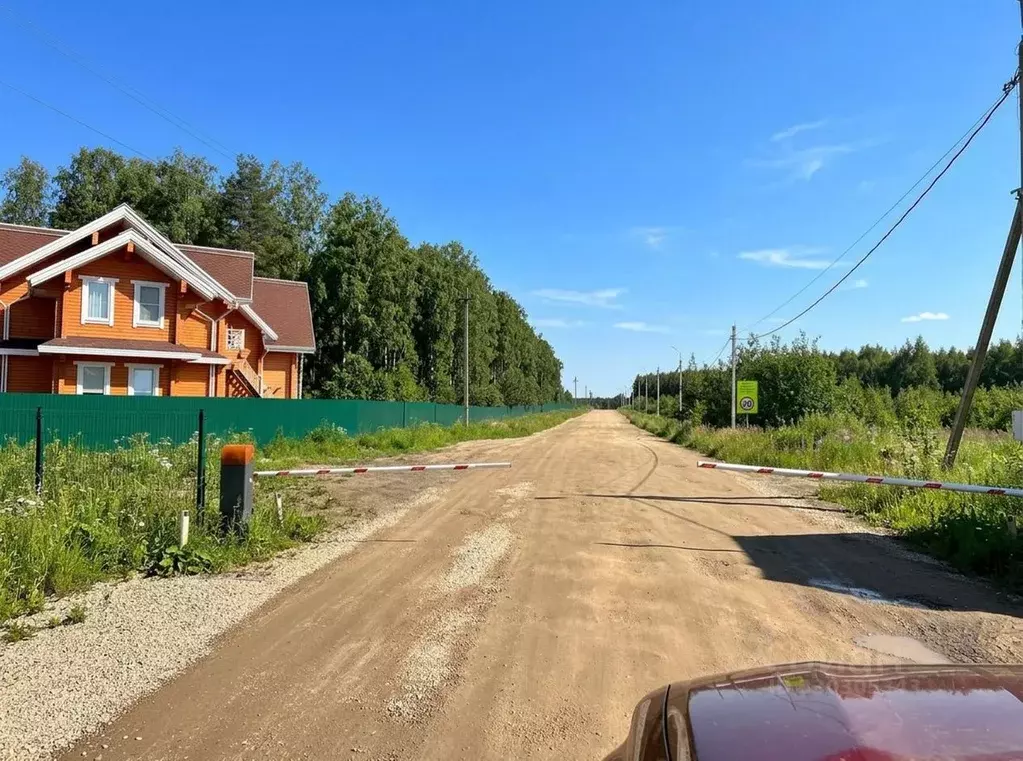 Участок в Ярославская область, Некрасовский муниципальный округ, д. ... - Фото 2