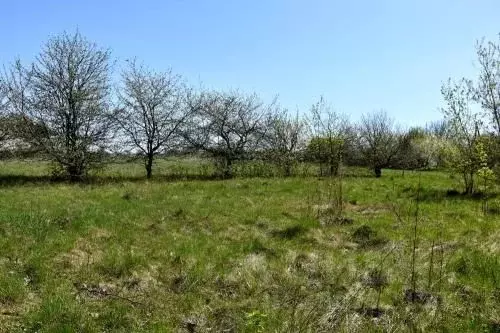 Участок в Белгородская область, Яковлевский городской округ, с. ... - Фото 2