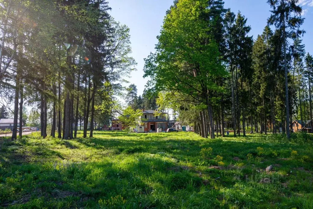 Участок, 6 сот., сельхоз (снт или днп) - Фото 0