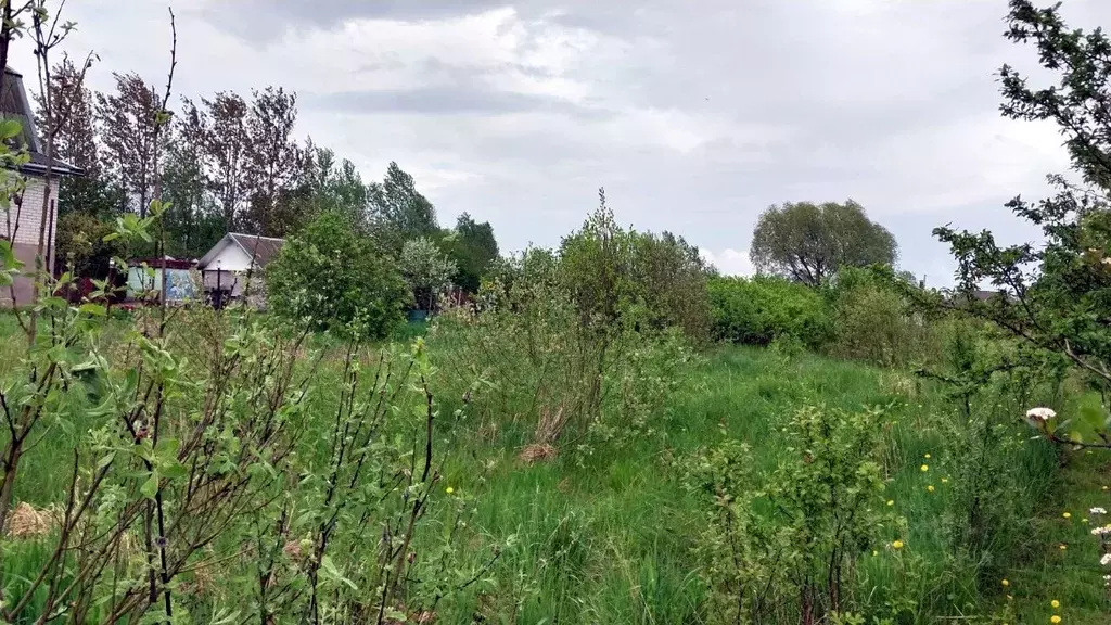 Участок в Новгородская область, Новгородский район, Трубичинское ... - Фото 1