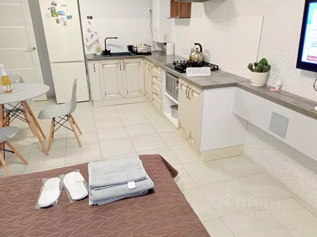 Студия Краснодарский край, Геленджик Крымская ул., 22к23 (30.0 м) - Фото 1