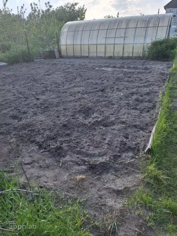 Участок в Брянская область, Брянск Большое Полпино пгт,  (4.2 сот.) - Фото 2