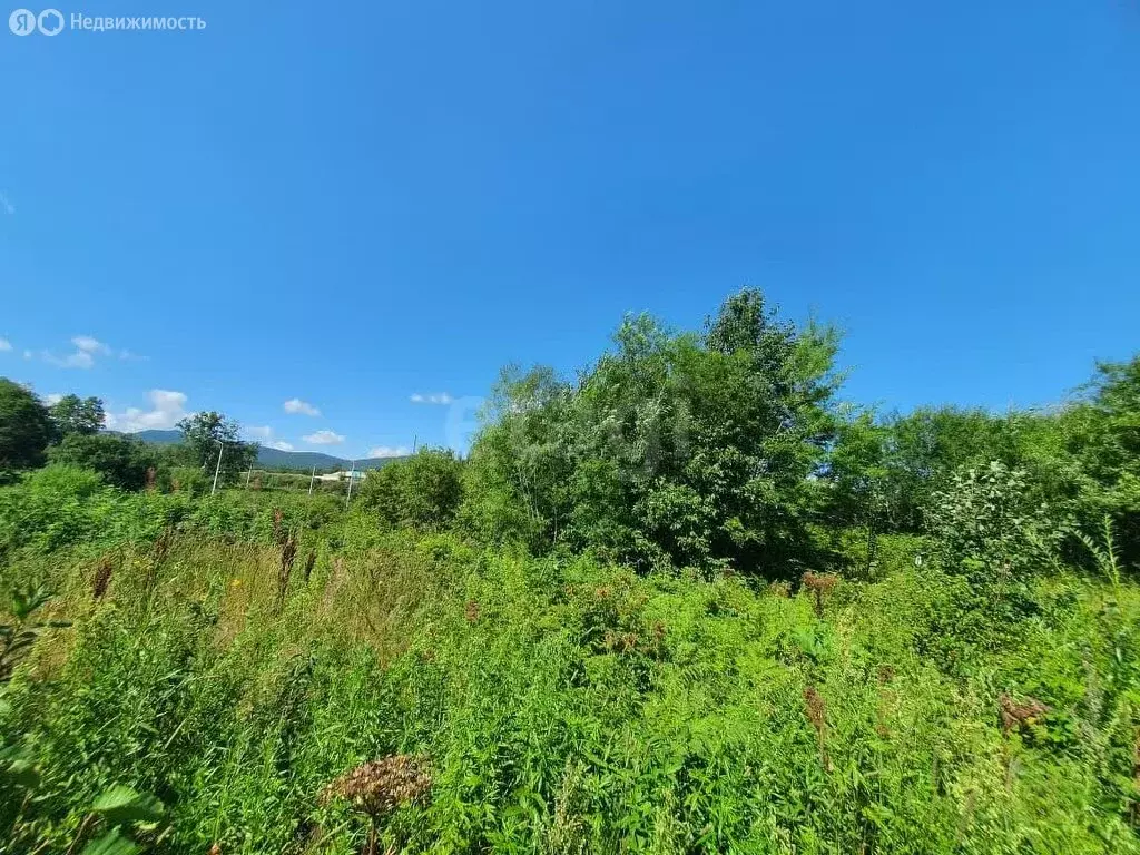 Участок в Камчатский край, Елизовский муниципальный округ, посёлок ... - Фото 0