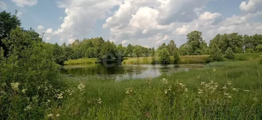 Участок в Владимирская область, Судогодский район, Муромцевское ... - Фото 1
