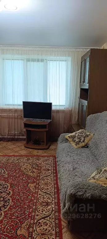 Свободной планировки кв. Крым, Керчь ул. Гудованцева, 3 (27.2 м) - Фото 1