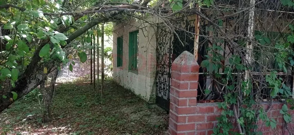 Участок в Ростовская область, Октябрьский район, Бессергеневское ... - Фото 1