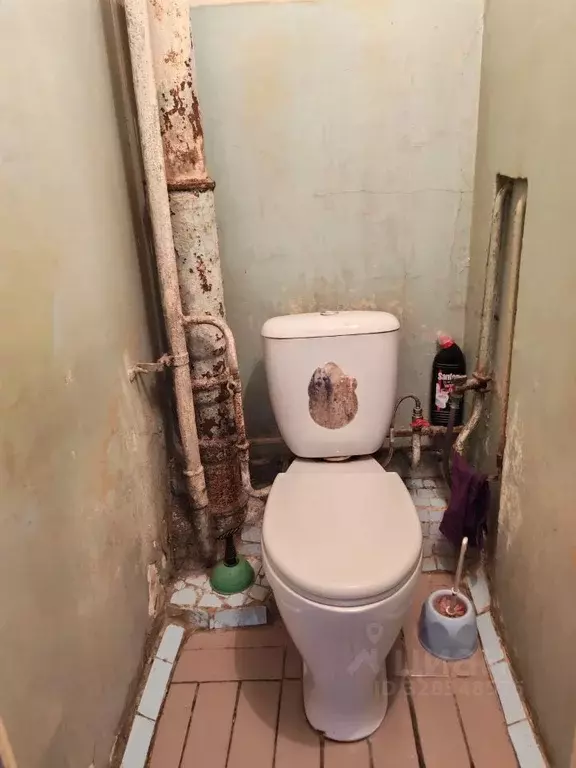 Комната Томская область, Северск ул. Калинина, 92 (9.0 м) - Фото 2