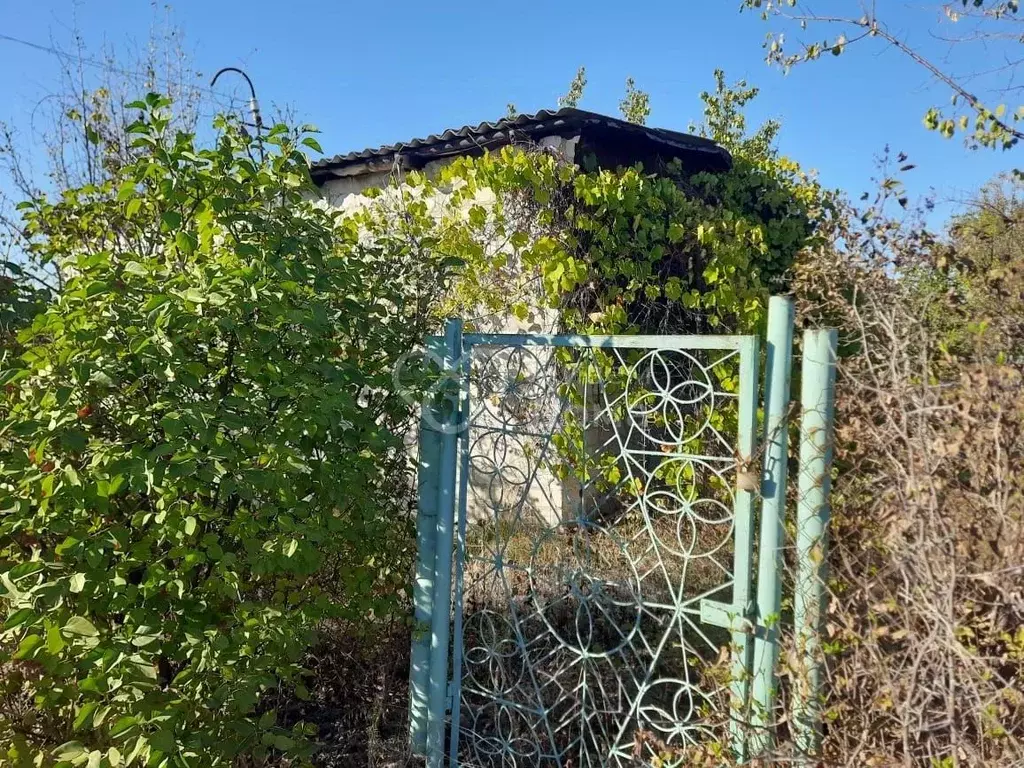 Дом в Волгоградская область, Волгоград Аврора СНТ, ул. Мурманская (24 ... - Фото 0