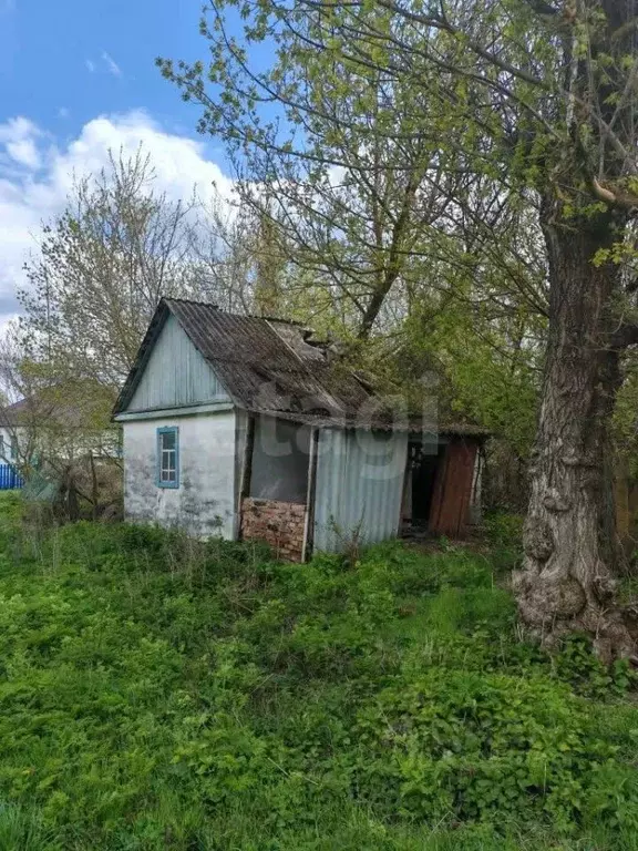 Участок в Белгородская область, Вейделевский район, с. Клименки ул. ... - Фото 1