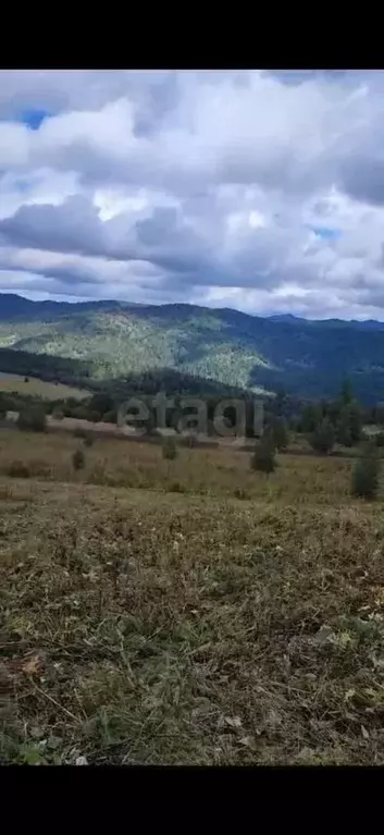 Участок в Алтай, Чемальский район, Элекмонарское с/пос, Седьмое Небо ... - Фото 2